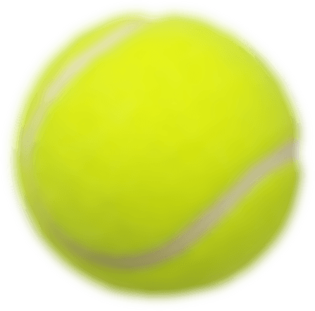 tennis ball game in resort