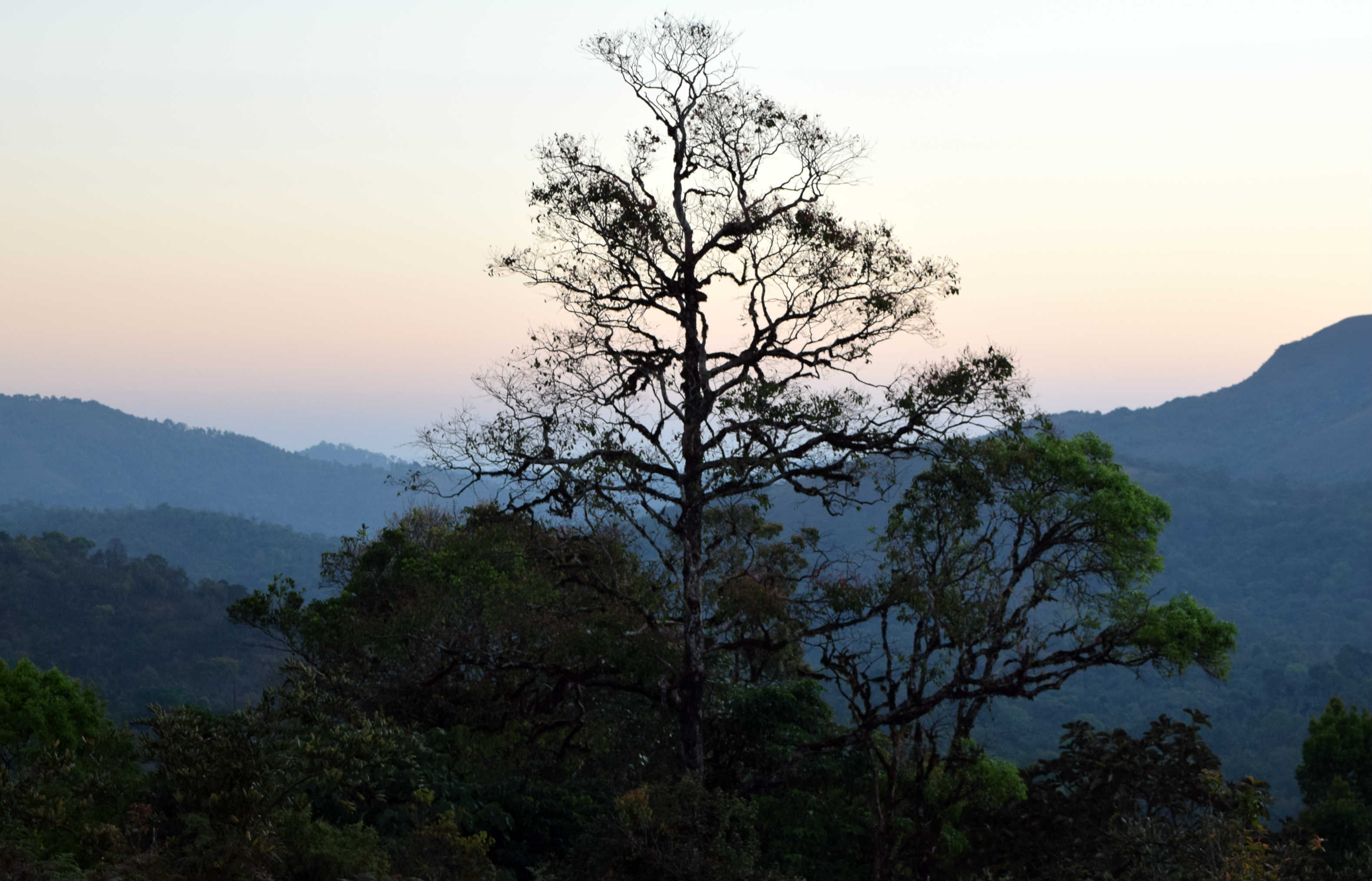 trekking Baalecool